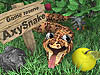 More about AxySnake
